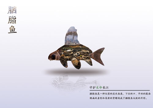 醫藥創新攜手長江文化 守護水生生物公益海報設計大賽