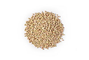 燕之坊14種谷物雜糧膳食高纖維香米飯 優選精制谷物，滿足國人每日營養所需
