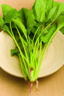 地球上最好的十種兒童食物 全麥?zhǔn)称贰⒐任锱c谷物種植
